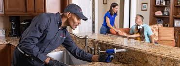 Reliable Grand Rapids, MI Pest control Solutions